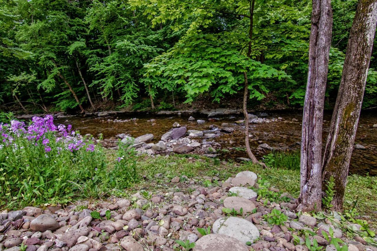 Cabin By The Creek With Private Creek Access 태너스빌 외부 사진